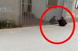 Hai cụ bà đưa bánh cho nhau qua khung cửa sắt, sự thật phía sau càng khiến dân mạng bất ngờ