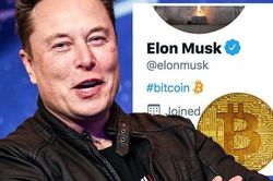 Bitcoin vượt ngưỡng 60.000 USD! Musk kiếm hơn 1 tỉ USD nhưng gặp họa do tweet 'vạ mồm'