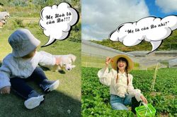 Hòa Minzy và ông xã nắm tay, bé Bo khóc ré lên giành mẹ