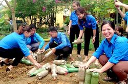 Để thanh niên hướng về tổ chức Đoàn