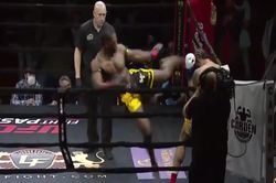 Võ sĩ xoay người 720 độ tung cước hạ knock-out đối thủ