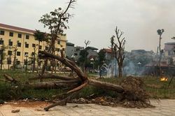 Quận Hoàng Mai, TP Hà Nội: Nhếch nhác tại công viên phường Trần Phú