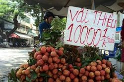 Những màn 'gây lú' của hàng hoa quả vỉa hè