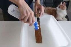 Dao cùn rỉ sét đến mấy cũng sáng bóng, sắc lẹm nhờ cách làm cực đơn giản này