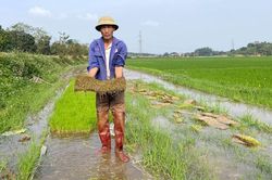 Địa phương đã làm hết trách nhiệm?