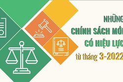 Những chính sách mới, có hiệu lực từ tháng 3/2022