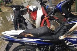 Những tình huống pháp lý vụ con dâu phóng hỏa, đổ thuốc trừ sâu xuống giếng của gia đình nhà chồng