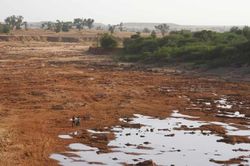 Nhóm tay súng đi môtô bắn chết 58 người sau phiên chợ ở Niger