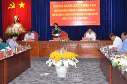 Phó Chủ tịch nước kiểm tra công tác bầu cử tại Cà Mau