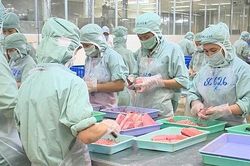 Xung đột Nga – Ucraina: Thương mại nông nghiệp Việt Nam với hai nước suy giảm