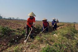 Nâng cao hiệu quả cung cấp dịch vụ thủy lợi