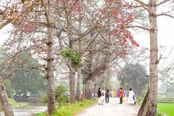 Cuối tuần này, Hà Nội đón đợt không khí lạnh mạnh