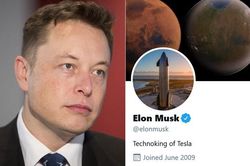 Tin vào tài khoản giả mạo tỷ phú Elon Musk, một người bị lừa mất trắng 13 tỷ đồng