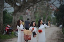 Hoa gạo tháng 3 đỏ rực cả góc trời Hà Nội