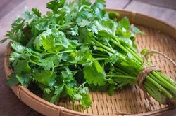 Loại rau thơm có thể chữa bệnh thận, gan và nội tạng bán đầy ngoài chợ