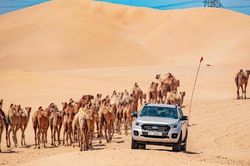 Ford Ranger vượt qua thử thách ở địa điểm nóng nhất hành tinh