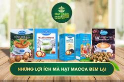 Những lợi ích tuyệt vời của hạt Mắc ca