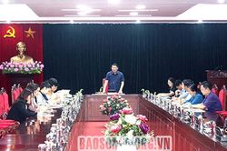 Họp Ban chỉ đạo tôn tạo và phát huy giá trị Khu di tích lịch sử Ngã ba Cò Nòi
