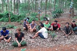Triệt phá điểm cung cấp ma túy trong vườn cao su