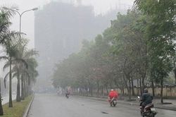 Hà Nội có mưa và rét dịp cuối tuần