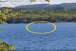 Tận mắt trông thấy cả đàn quái vật hồ Loch Ness ngoi lên mặt nước