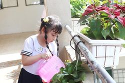 Để trường học thật sự xanh - sạch - đẹp