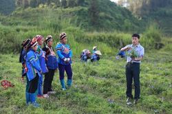 Đưa dược liệu vào nhóm xuất khẩu 'tỷ đô': Còn rất nhiều việc phải làm