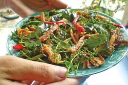 Món gỏi sầu đâu nổi tiếng của người An Giang có gì đặc biệt?