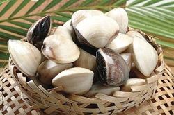 Mẹo chọn mua ngao, sò, ốc, hến tươi ngon chuẩn hàng chất lượng
