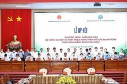 Đồng bằng sông Cửu Long vẫn phát triển chưa tương xứng