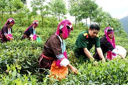 Quy định về xây dựng Khu kinh tế - quốc phòng
