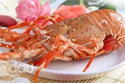 Cách chế biến các món ngon từ tôm hùm