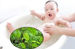 Không tùy tiện tắm lá cây cho trẻ vì có thể gây ảnh hưởng tới sức khỏe