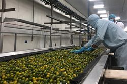 Doanh nghiệp xuất nhập khẩu lao đao giữa 'muôn trùng vòng vây' chi phí
