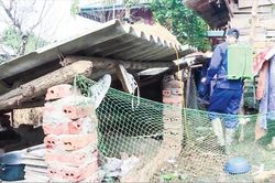 Cần kiểm soát chặt cúm gia cầm