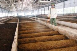 Tìm hướng xử lý phụ phẩm nông nghiệp