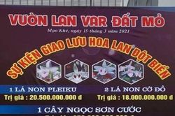 Ngành thuế đưa giao dịch lan đột biến vào 'tầm ngắm'