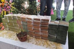 Lý do công an khó xử lý vụ bán lan đột biến 250 tỷ ở Quảng Ninh