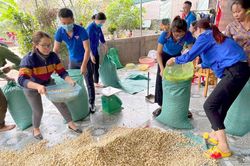 Nghệ An: Giải cứu gần 10 tấn hành tăm cho nông dân