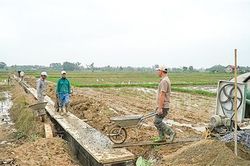 Cam Lộ: Hơn 42 tỉ đồng đầu tư kiên cố hóa kênh mương