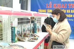 Cá trắm hun khói Chiềng La - Sản phẩm OCOP 3 sao