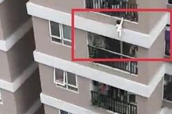 Vũ trụ hợp lực
