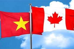 Việt Nam và Canada tận dụng lợi thế từ 'cao tốc độc đạo' CPTPP