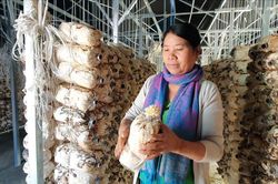 Bà Ka Hoa trồng nấm ở Đạ Chais