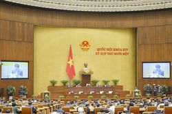 Cân đối hợp lý về nhân sự Quốc hội khóa XV và HĐND các cấp nhiệm kỳ 2021-2026