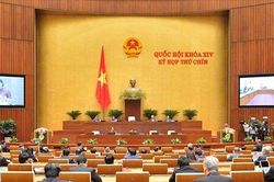 Rộng cửa cho những người tự ứng cử đại biểu quốc hội: Ứng cử viên chất lượng sẽ có đại biểu đủ tầm