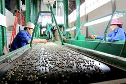 Lâm Đồng: 'Làn gió mới' từ đề án điểm