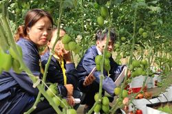 Liên kết chặt chẽ thông tin và tuyên truyền thương hiệu