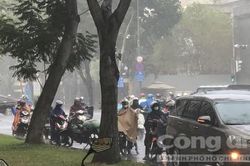 Mưa giải nhiệt ở Sài Gòn giữa cao điểm nắng nóng