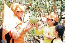 Doanh nghiệp du lịch năng động vượt khó